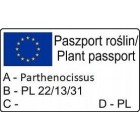 Виноград девичий пятилистный Мурорум 2L