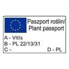 Grapevine Lidia 2L