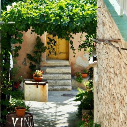 Weinrebe A 1704 (kernlos) 1L