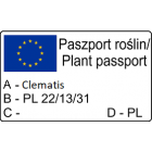 Powojnik Fay włoski 1L