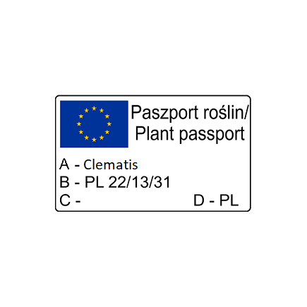 Клематис Фэй 1L