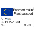 Winorośl Mars bezpestkowa 2L