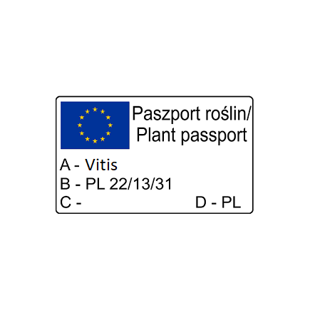 Winorośl Mars bezpestkowa 2L