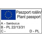 Bez czarny Haschberg N1 pakiet 5 sztuk 2L