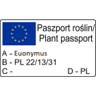 Trzmielina Fortunea Sunspot 2L