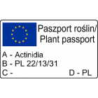 Aktinidia Pakiet N4 Dr. Szymanowski, Sentyabraskaya, Adam 2L