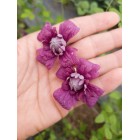 Powojnik Purpurea Plena Elegans włoski 2L