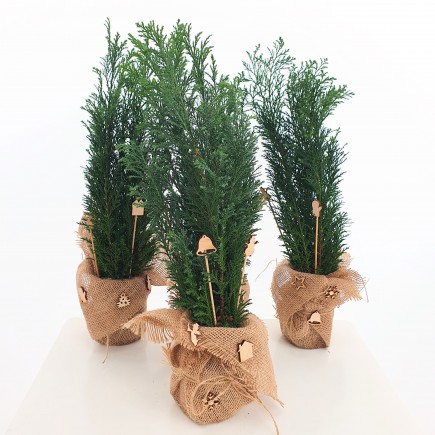 Ozdoba świąteczna - stroik Cyprysik ozdobiona mini choinka 1L