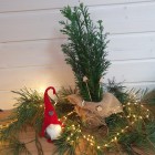 Ozdoba świąteczna - stroik Cyprysik ozdobiona mini choinka 1L