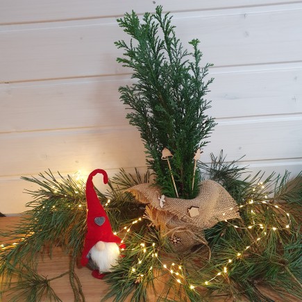 Ozdoba świąteczna - stroik Cyprysik ozdobiona mini choinka 1L