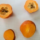 Pigwowiec japoński Orange Tea 2L